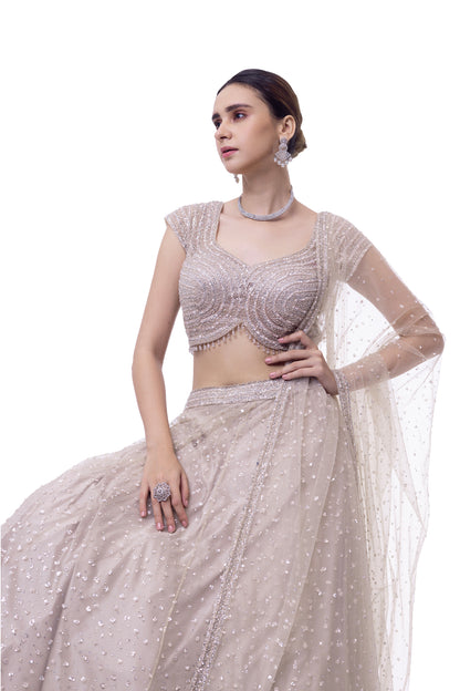 Off White Net Lehenga