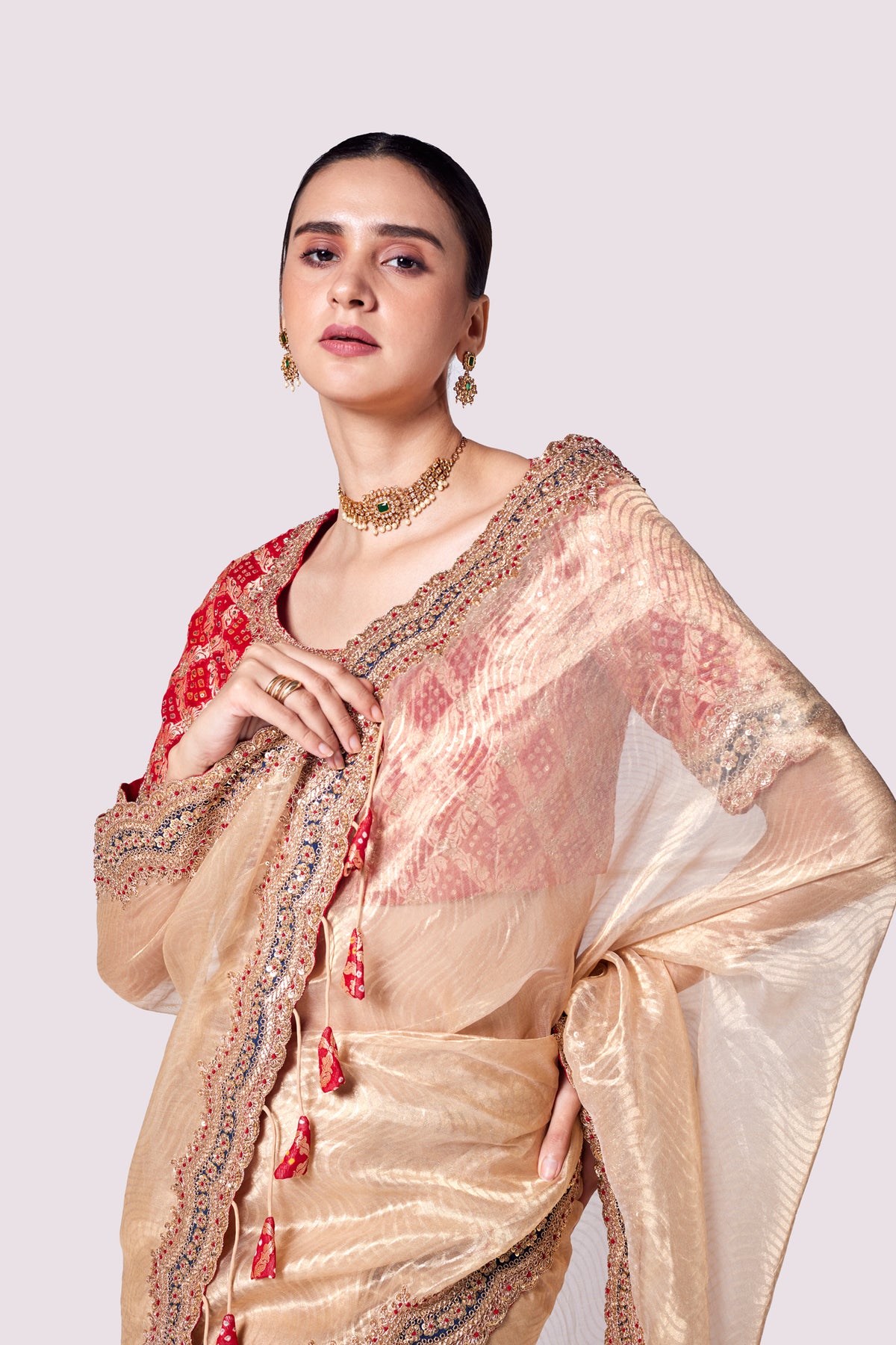 Patterned Tissue Saree