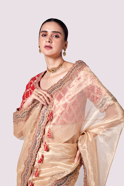 Patterned Tissue Saree