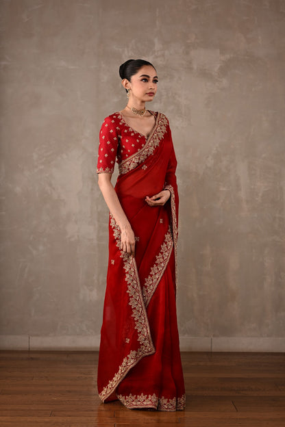 Organza Saree with Embroidered Blouse