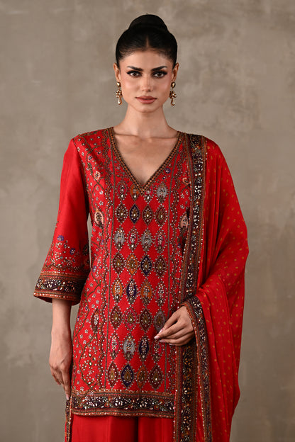 Printed Embellished Kurta Sharara Set