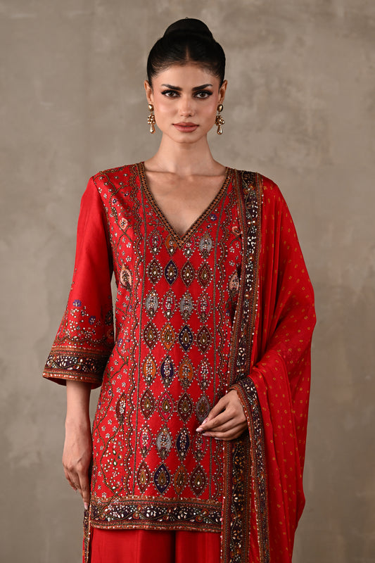 Printed Embellished Kurta Sharara Set