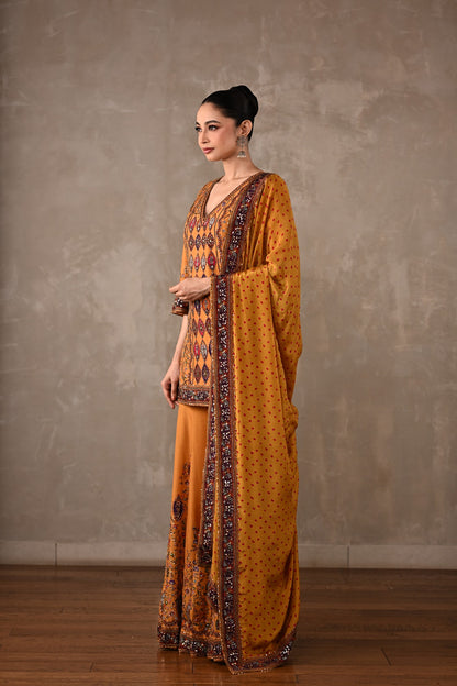 Printed Embellished Kurta Sharara Set