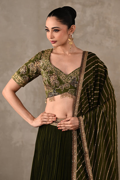 Botanical Drape Embellished Lehenga Set
