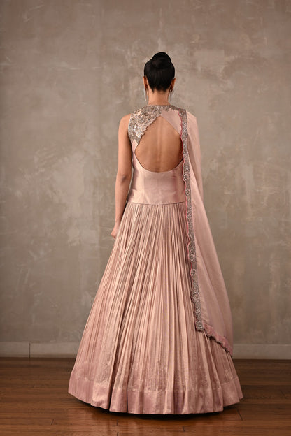 Elysian Tissue Lehenga Set