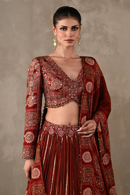 Printed Embroidered Organza Tissue Lehenga