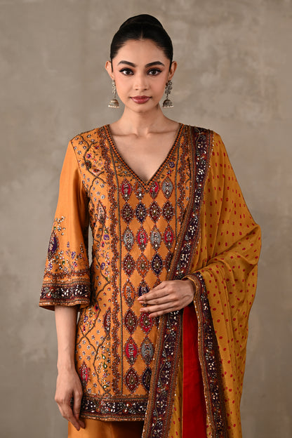 Printed Embellished Kurta Sharara Set