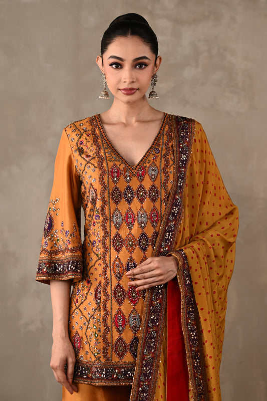 Printed Embellished Kurta Sharara Set