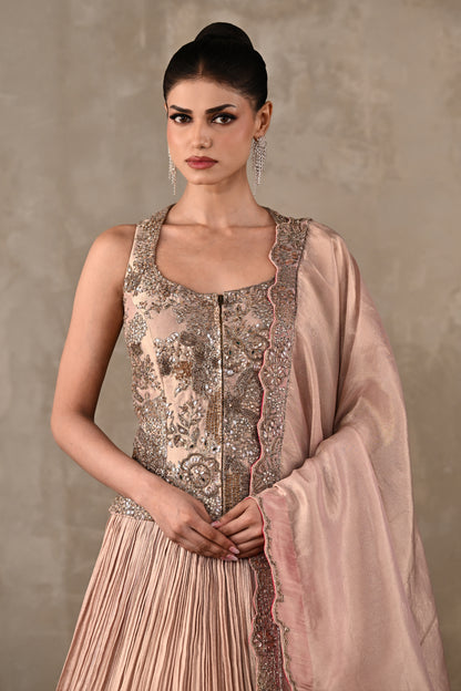 Elysian Tissue Lehenga Set