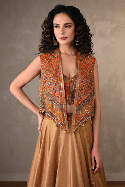 Opulent Threads Tissue Lehenga Set