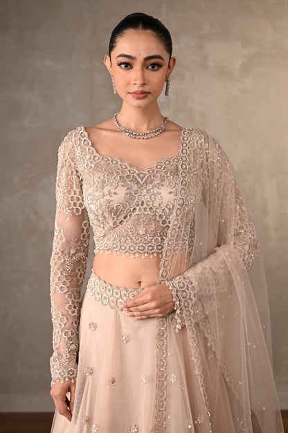 Soft Radiance Net Lehenga Set