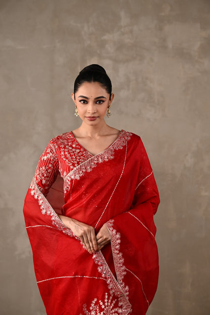 Organza Saree with Kasab & Sequin Embroidered Blouse