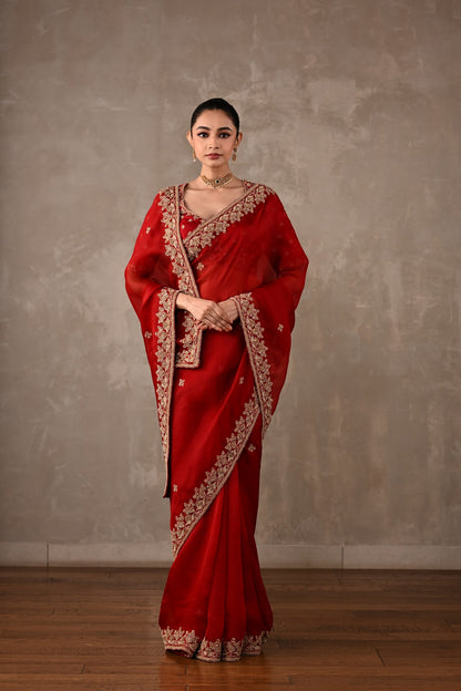 Organza Saree with Embroidered Blouse