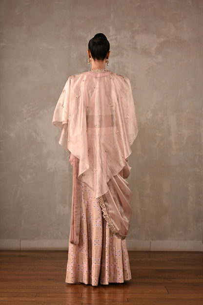 Opulent Drape Saree Set