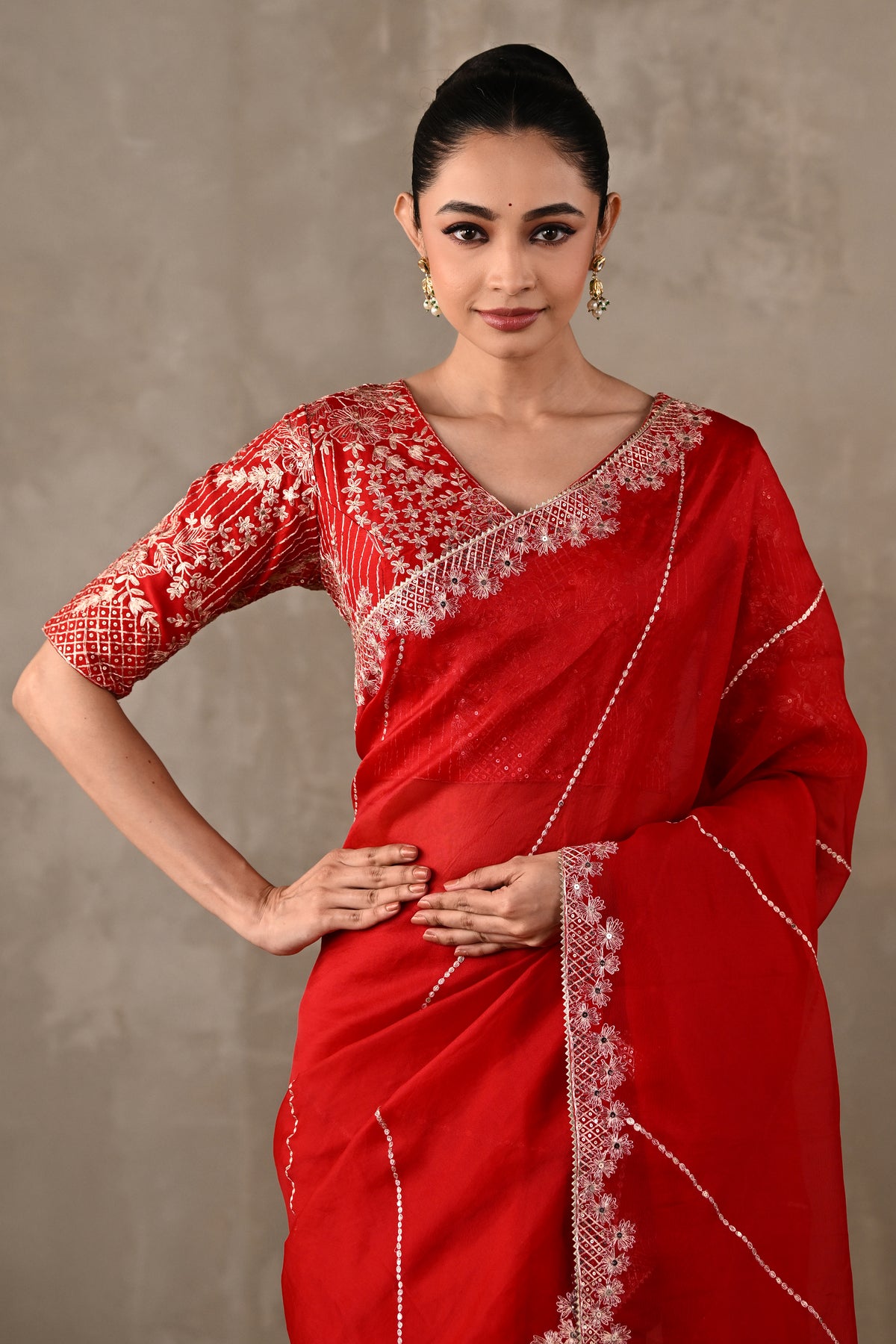 Organza Saree with Kasab & Sequin Embroidered Blouse