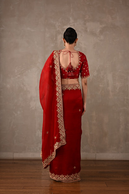 Organza Saree with Embroidered Blouse