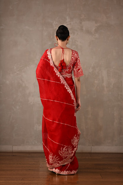 Organza Saree with Kasab & Sequin Embroidered Blouse