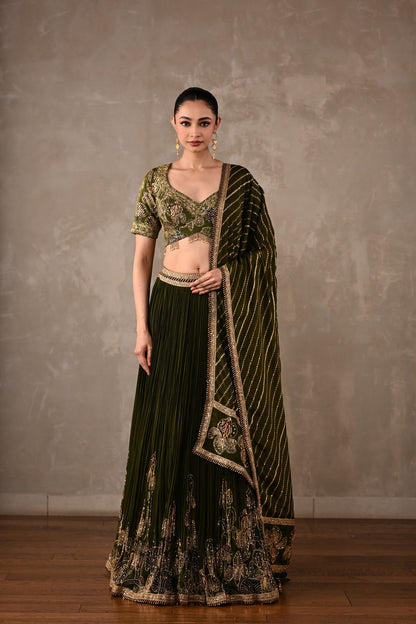 Botanical Drape Embellished Lehenga Set