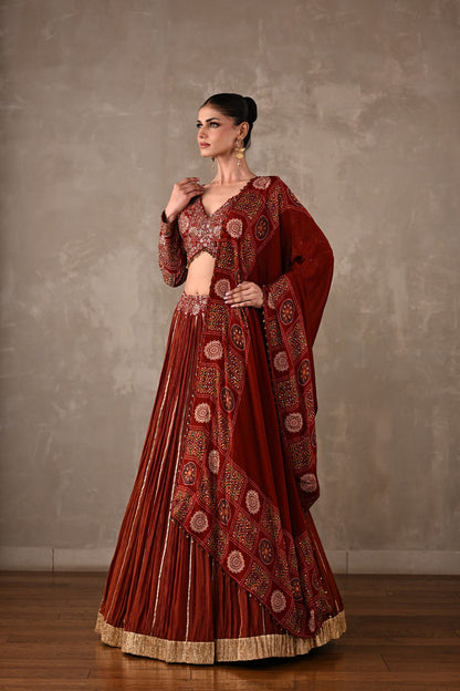 Printed Embroidered Organza Tissue Lehenga
