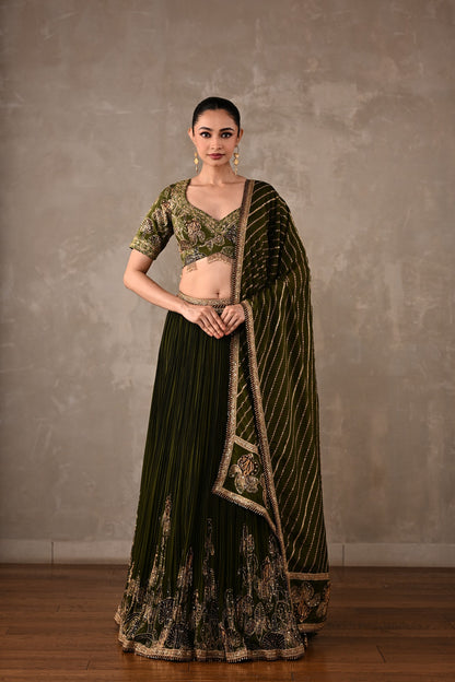 Botanical Drape Embellished Lehenga Set