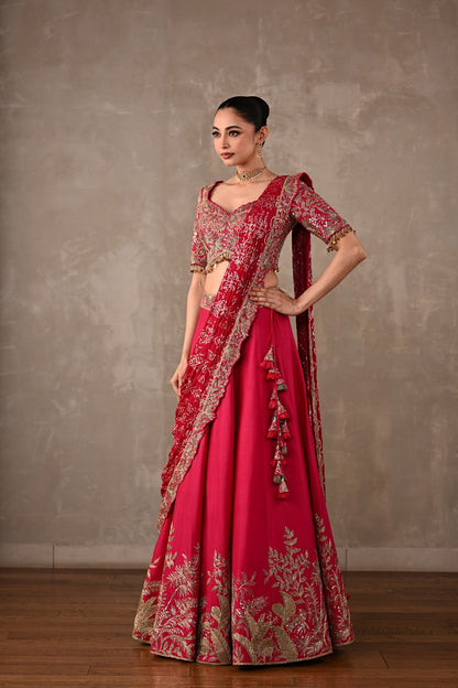 Embellished Drape Lehenga Set
