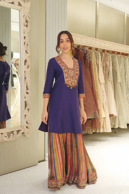 Multicolour Royal Kurta Set