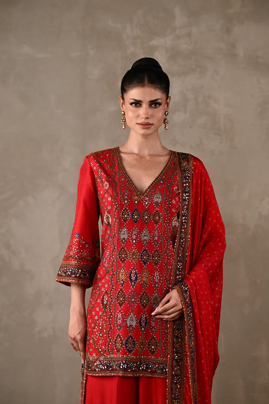 Printed Embellished Kurta Sharara Set