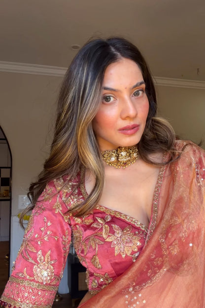 Embellished Saree with V-Neck Blouse
