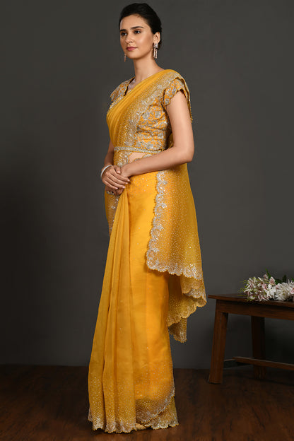 Sage Stone and Cutdana Organza Saree