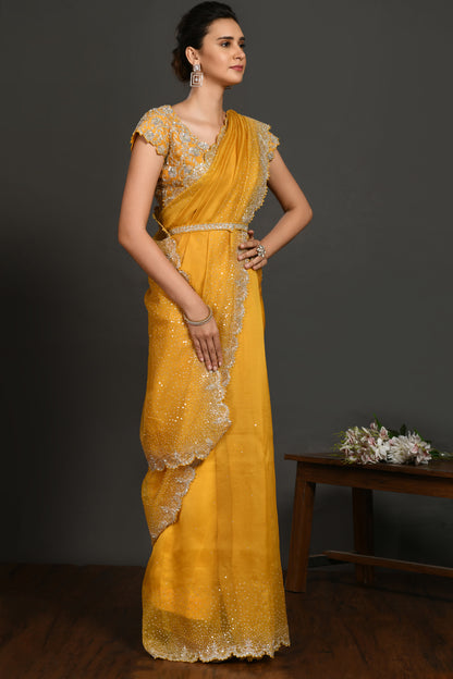 Sage Stone and Cutdana Organza Saree