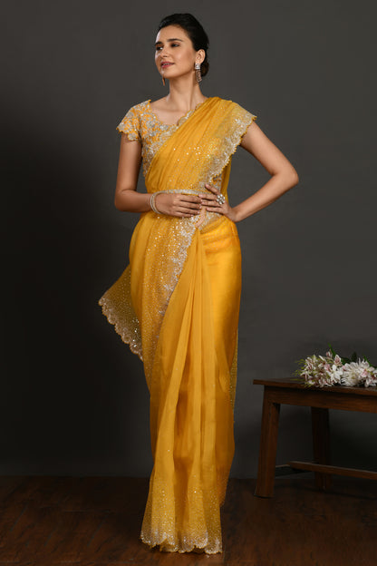 Sage Stone and Cutdana Organza Saree