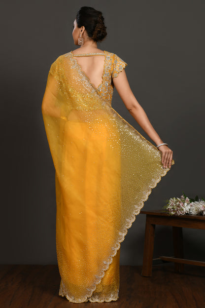 Sage Stone and Cutdana Organza Saree
